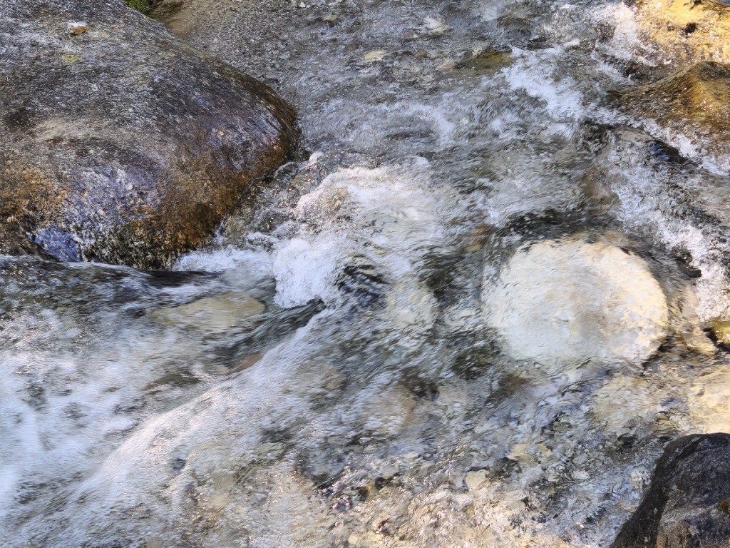 letting it be: general #491