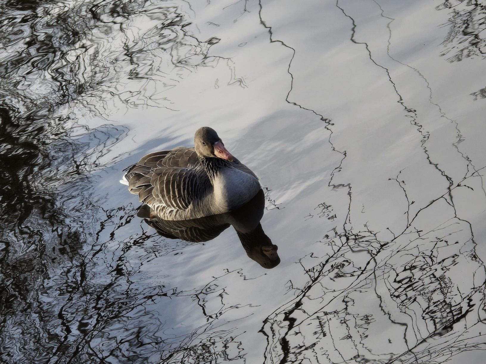 general 801_Augenblicke 1