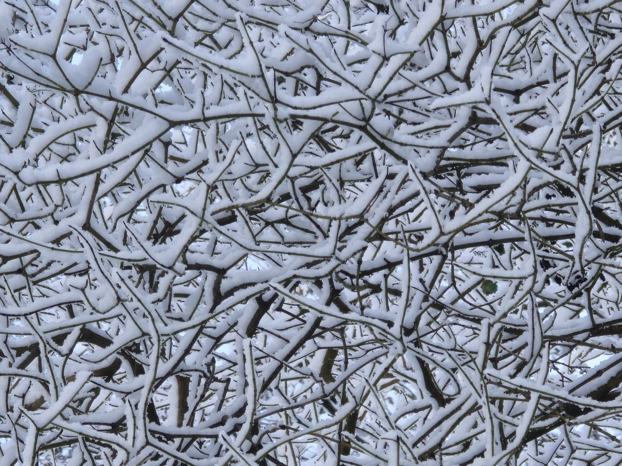 intending. extending into dissolution. – Taoist philosophy in movement